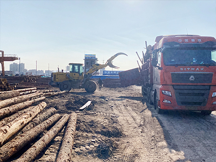 原木销售