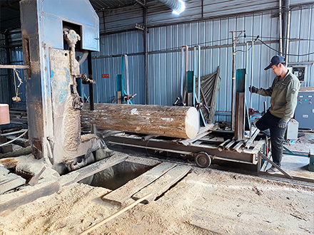 木材市场加工厂